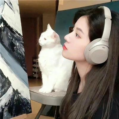 石头会说话 封面