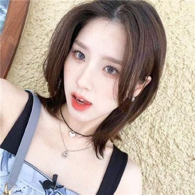 水牛骑士 封面