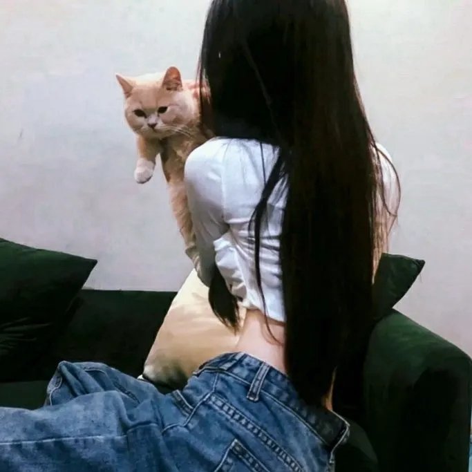 乱发日记 封面