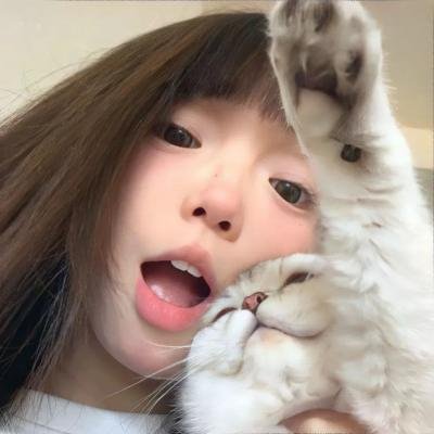 闪乱神乐第二季 封面