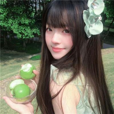 行尸之惧第七季 封面